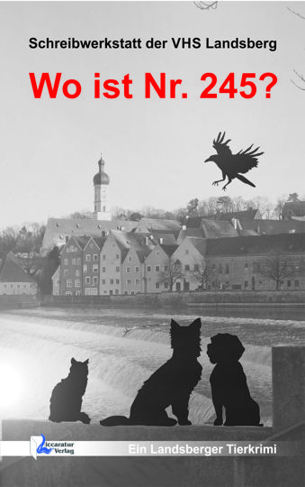 Schreibwerkstatt der VHS Landsberg - Schaa-Schilbach Sabine, Häusser Ida, Skowronek Jens, Fischer Melanie, Wartini Michael, Schweiger Karin, Skorpil Andrea, Pfaffeneder Uschi, Pfaffeneder Klaus, Birnbaum Karsten - Wo ist Nr. 245?