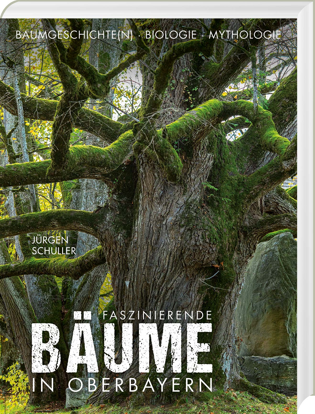 Schuller Jürgen - Faszinierende Bäume in Oberbayern