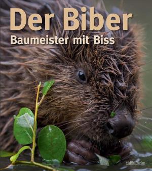 Zahner Volker, Schmidbauer Markus, Schwab Gerhard, Angst Christof - Der Biber
